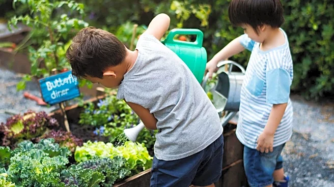 Raised Garden Beds Offer Accessibility and Control for Urban Gardeners