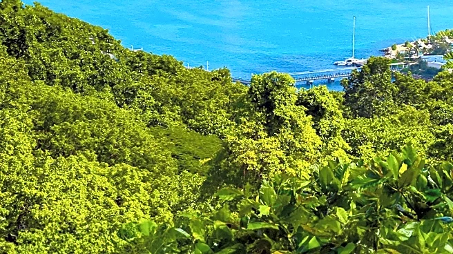 JetBlue Offers $500 Weather Guarantee for Jamaica Travelers