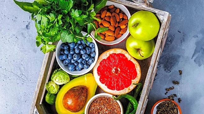 Emerging Food Trends for 2026: Focus on Fiber and Polyphenols