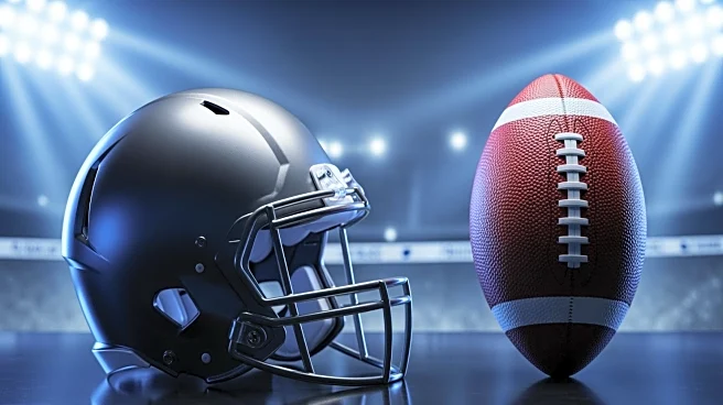 Lions' Amon-Ra St. Brown Reacts to David Montgomery's Trade to Texans