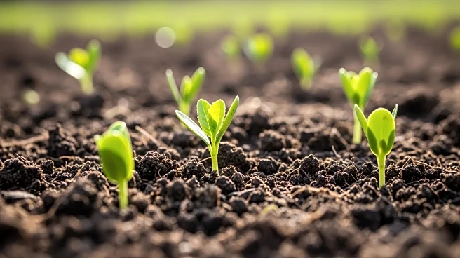 CIBO Technologies Partners with Primient to Advance Regenerative Agriculture