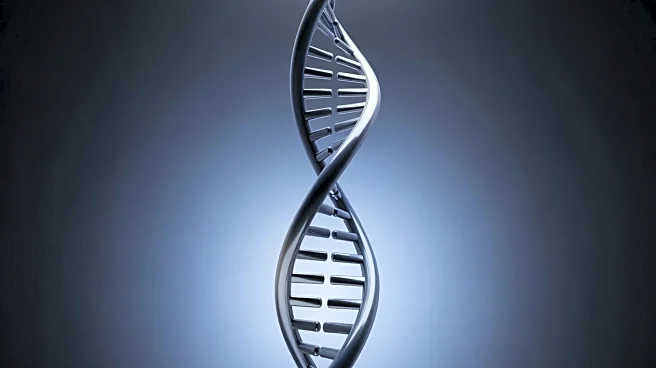 XyloCor Appoints John Tucker as CEO to Lead Cardiovascular Gene Therapy Development