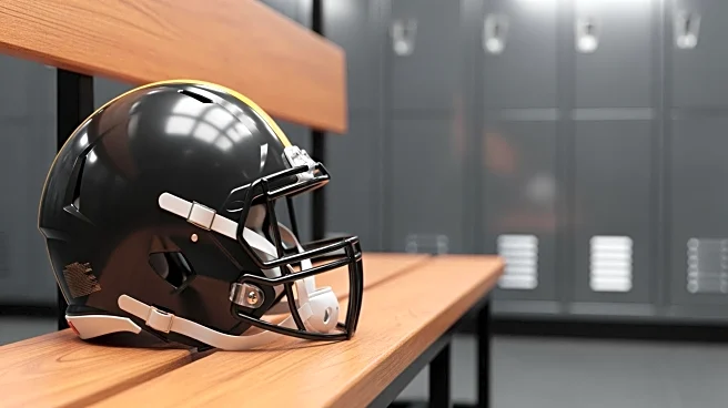 Pittsburgh Steelers Special Teams Performance Analyzed for 2025 Season