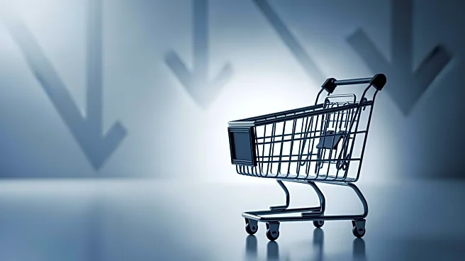 American Consumers Reduce Spending as Retail Sales Fall 0.2% in January