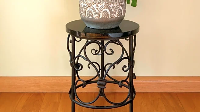 Houseplant Experts Highlight Resilient Varieties for Indoor Gardening Success