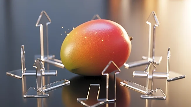 Mango Achieves Significant Revenue Growth and Expansion in 2025