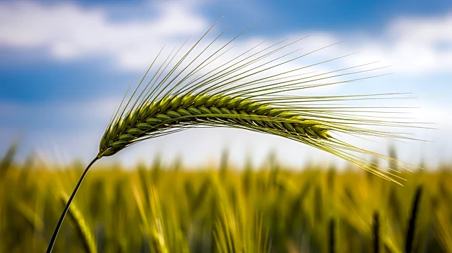 MarketBeat Highlights Key Agriculture Stocks Amid Market Volatility