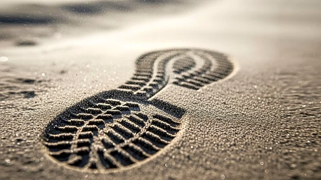 LA 5K Kicks Off Amid Windy Conditions as Part of Marathon Weekend