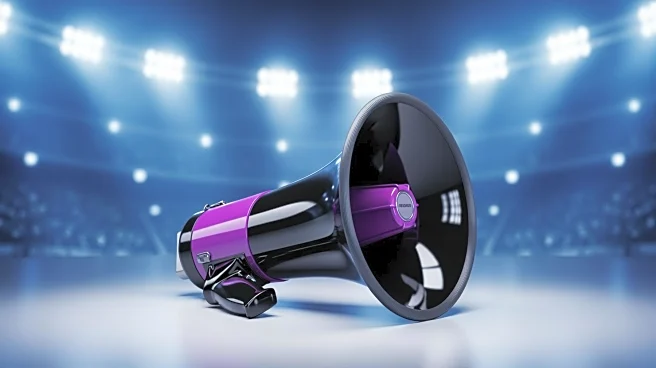 Baltimore Ravens Host Tryouts for 2026 Cheerleading Team Amid High Competition