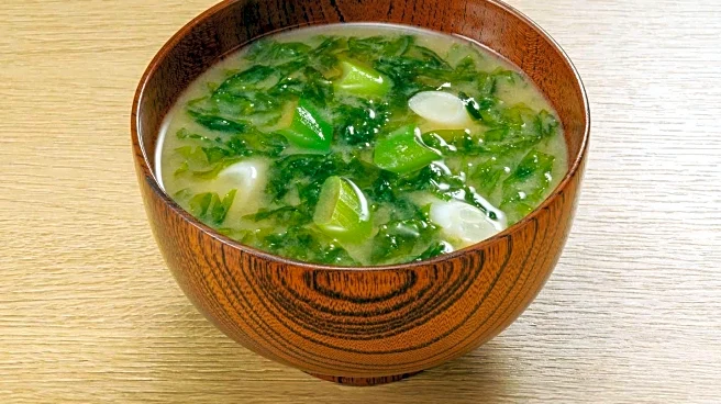 Miso Soup's Potential Radioprotective Effects Highlighted in Nagasaki Study