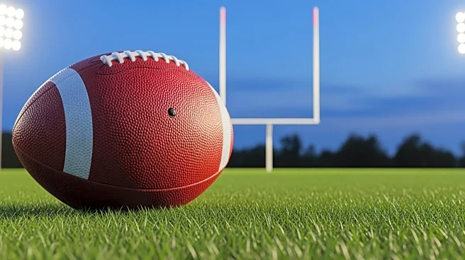 Wrexham Aims for Premier League After FA Cup Defeat to Chelsea