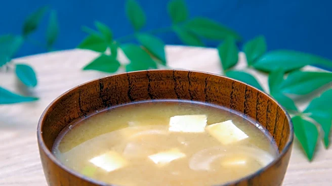 Miso's Potential Role in Radiation Protection and Cancer Therapy Explored