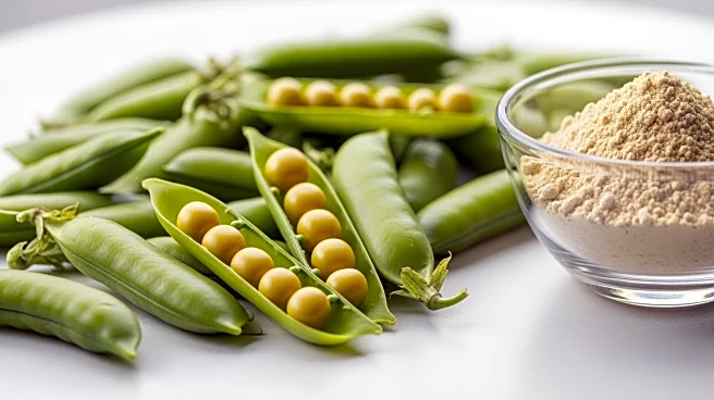 Roquette Launches Nutralys Pea 850F to Meet High-Protein Product Demand