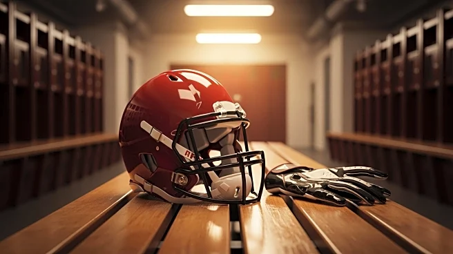 San Francisco 49ers Sign Mike Evans to Strengthen Receiving Corps