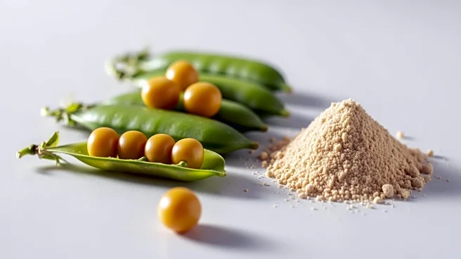 Roquette Launches Nutralys Pea Protein Isolate to Meet High-Protein Demand