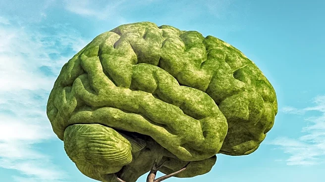 Challenging the Brain: New Insights into Cognitive Health and Aging