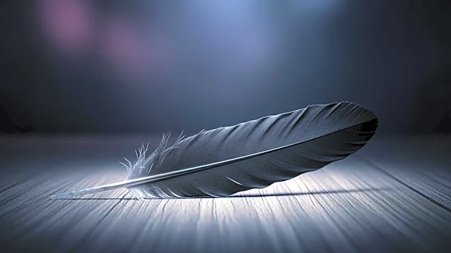 Baltimore Ravens Release Keaton Mitchell Amid Free Agency Changes