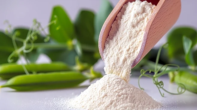 Roquette Launches New Pea Protein Isolate for Food Industry