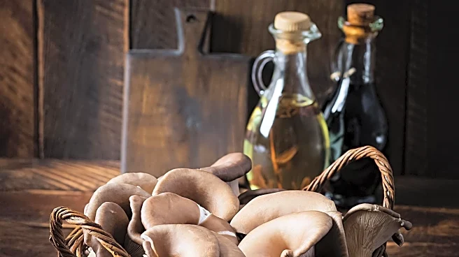 Alabama Father and Son Make History with Decades-Old Oyster House Tradition