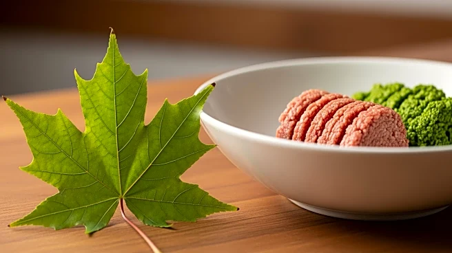 Maple Leaf Foods Reaffirms Commitment to Plant-Based Meat Following Pork Spin-Off