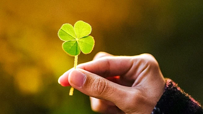 Travelers Advised on Safety Precautions for St. Patrick's Day in Dublin