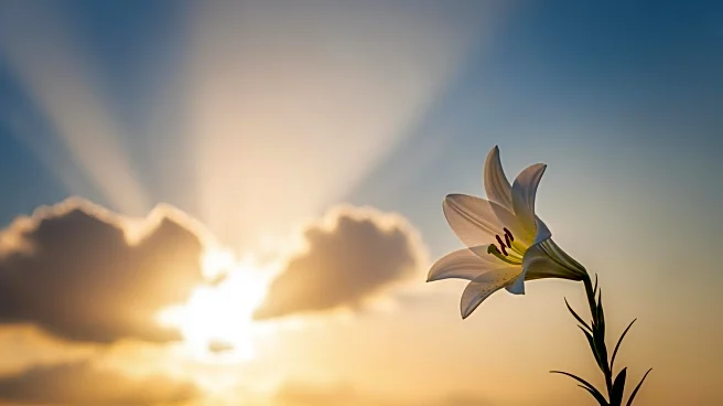 Gwen Stefani Attributes 'Miracle' Pregnancy at 44 to Divine Intervention