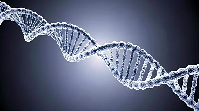 GeneDx and Zevra Therapeutics Launch Genetic Testing Program for Niemann-Pick Disease Type C