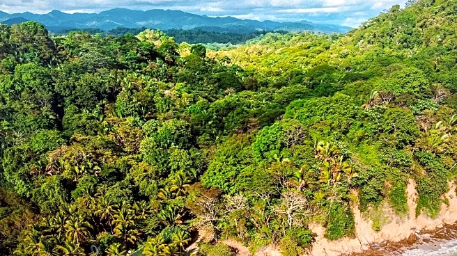 Costa Rica's Wellness Tourism: A Journey into Nature and Longevity