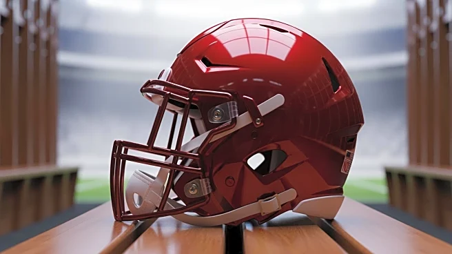 Mike Evans Joins San Francisco 49ers, Impacting Team Dynamics and NFC West Competition