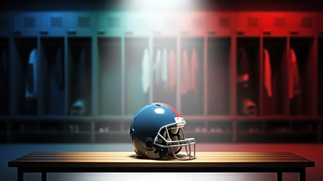 Miami Dolphins Release Julian Hill, Opening Free Agency Opportunities