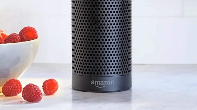 Amazon's Alexa Faces Backlash After Inappropriate Interaction with Child