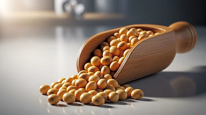 Cargill Pauses Brazil Soy Exports to China Amid New Inspection Protocols