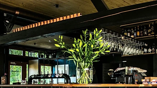 Duke's Malibu Reopens After Extensive Renovations Post-Palisades Fire