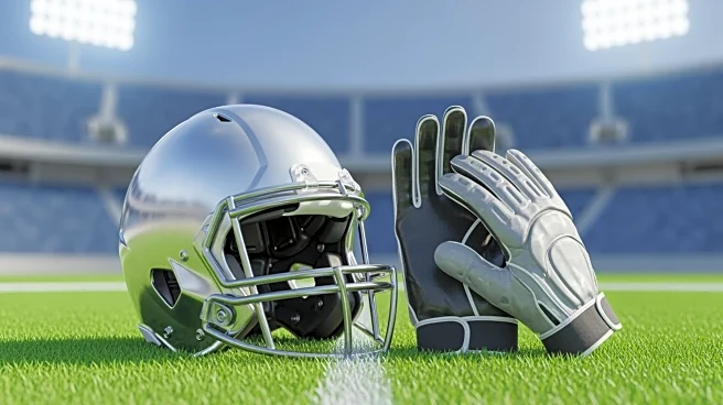 Michigan Wolverines Freshmen Aden Reeder and Jamarion Vincent Impress Teammates