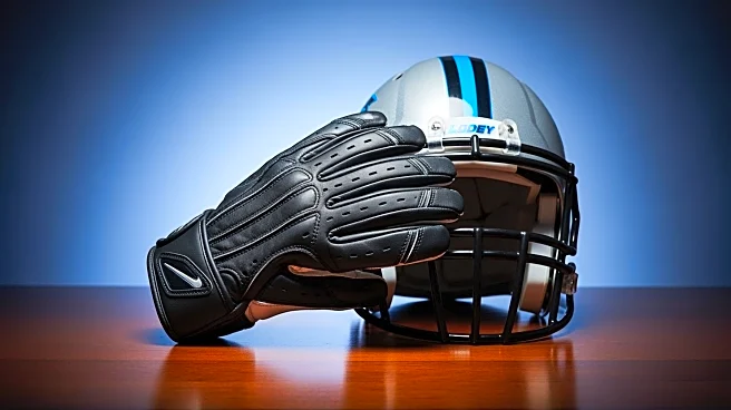 Carolina Panthers Sign Ex-Packers LT Rasheed Walker to One-Year Deal