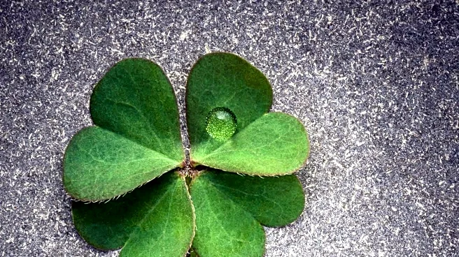 Philadelphia's St. Patrick's Day Parade Honors New Ring of Honor Members