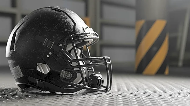 Michael Pittman Joins Pittsburgh Steelers, Embraces Physical Play Style