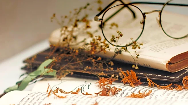 Book Reviewers Highlight Importance of Distinctive Choices in Literature