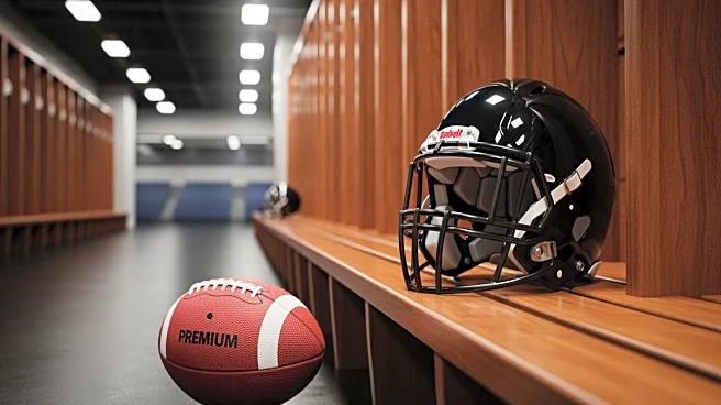 49ers Sign Mike Evans to Bolster Wide Receiver Lineup