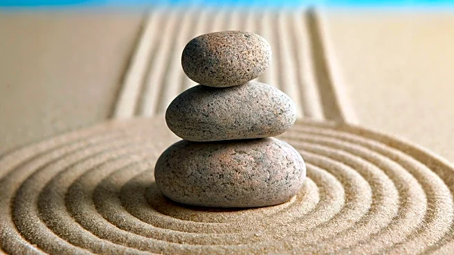 Zen Monk Toryo Ito Introduces Mindfulness Practices to Corporate America