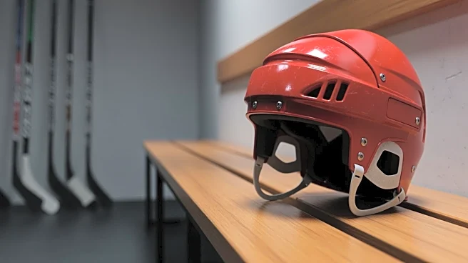 Detroit Red Wings Recall John Leonard Amidst Emergency Conditions