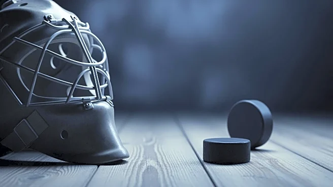 Mammoth's Karel Vejmelka Struggles in Loss to Penguins, Raising Concerns for Upcoming Games