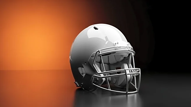 Josh Johnson Signs One-Year Deal for Third Stint with Cincinnati Bengals