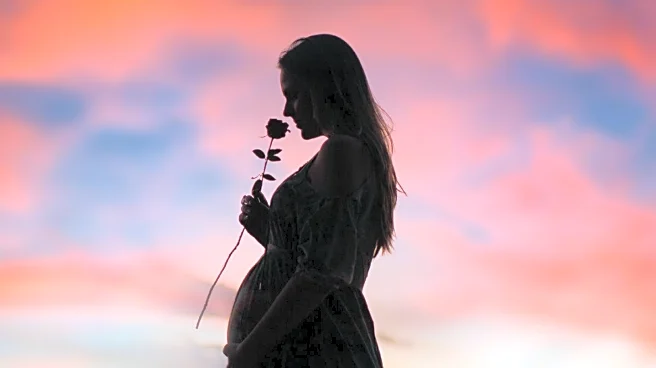 Fitness Personality Katie Austin Shares Insights on Pregnancy Journey