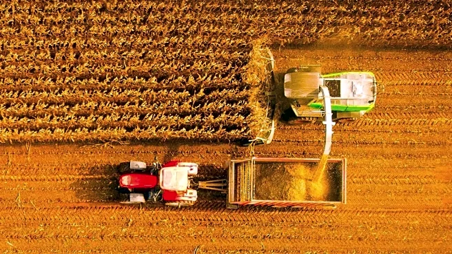 Katarina Baleisuva Honored at National Women in Agriculture Awards for Innovative Farming