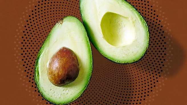 Cardiologist Recommends Avocado for Heart Health Benefits