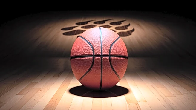 Arizona Wildcats Aim for NCAA Tournament Glory with Strong Historical Record