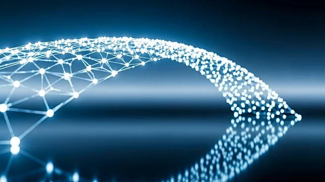 WhiteBridge AI Secures $3 Million Seed Funding to Enhance Digital Identity Platform