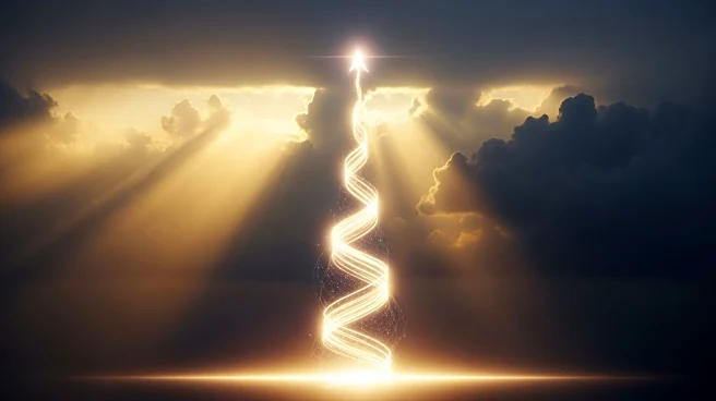 Antonio Gracias Advocates for 'Proentropic' Startups Amid Global Chaos