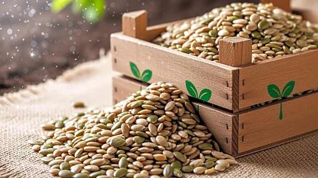 Seed Revolution Partners with River Cottage to Launch Organic Vegetable Seed Range